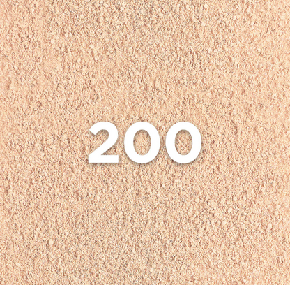 L’Oréal Infallible Up to 24H Foundation in a Powder Concealer