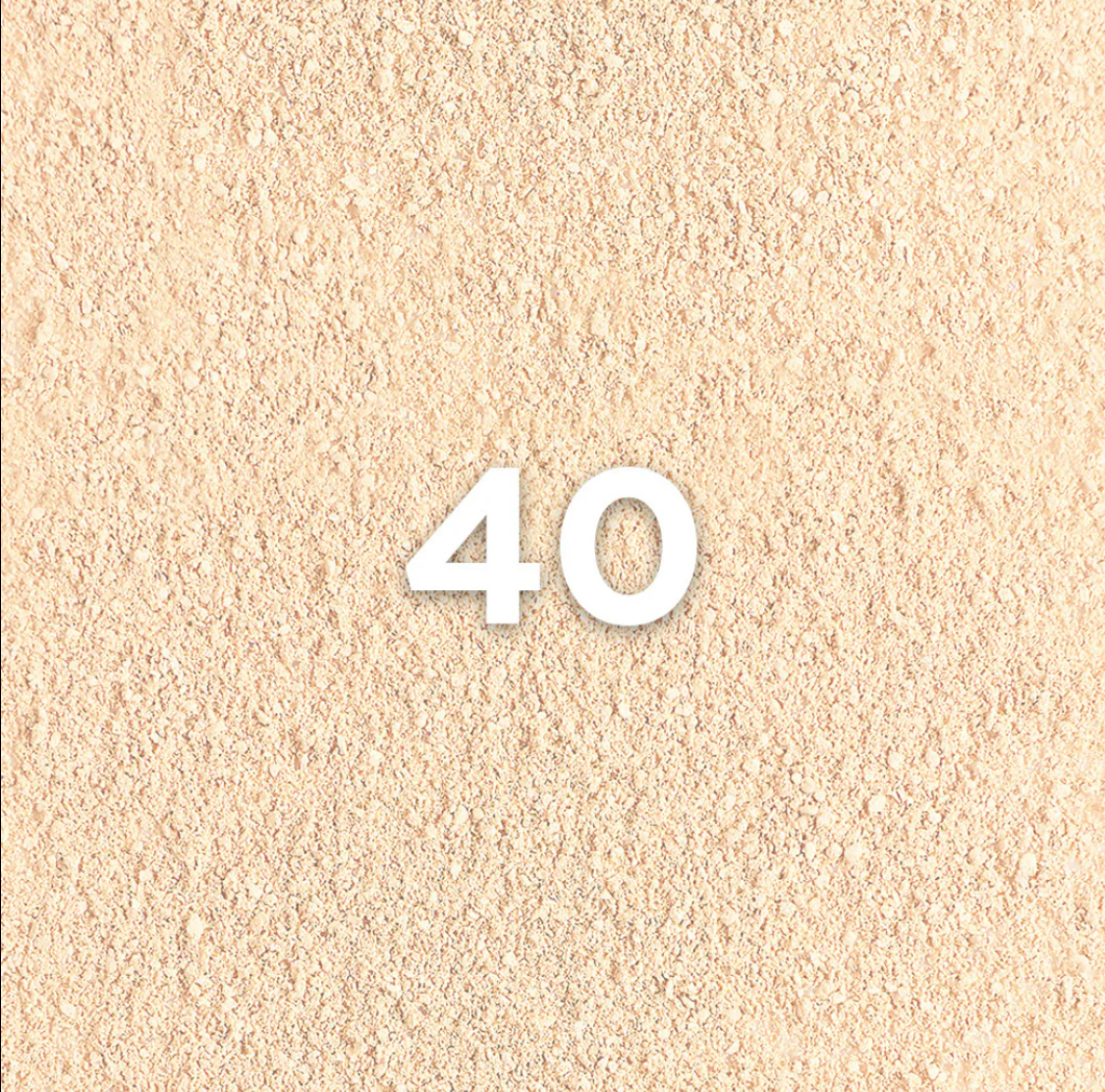 L’Oréal Infallible Up to 24H Foundation in a Powder Concealer