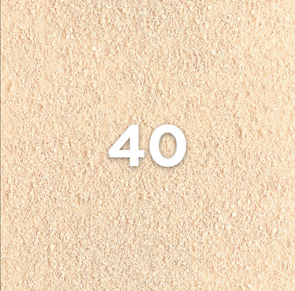 L’Oréal Infallible Up to 24H Foundation in a Powder Concealer