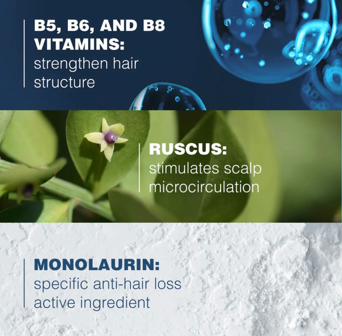 Ducray Anaphase Plus Anti-Hair Loss Compliment Shampoo