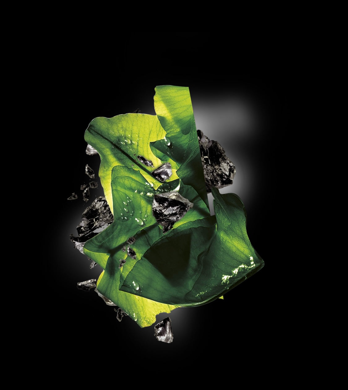 Garnier SkinActive Charcoal & Algae Hydrating and Purifying Tissue Mask – Detox Sheet Mask for Oily & Combination Skin