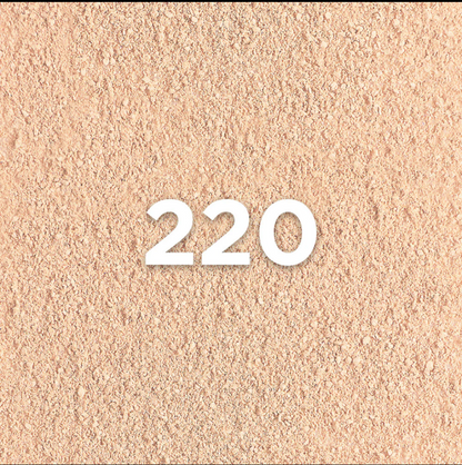 L’Oréal Infallible Up to 24H Foundation in a Powder Concealer